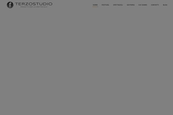 Site using Visual-portfolio plugin